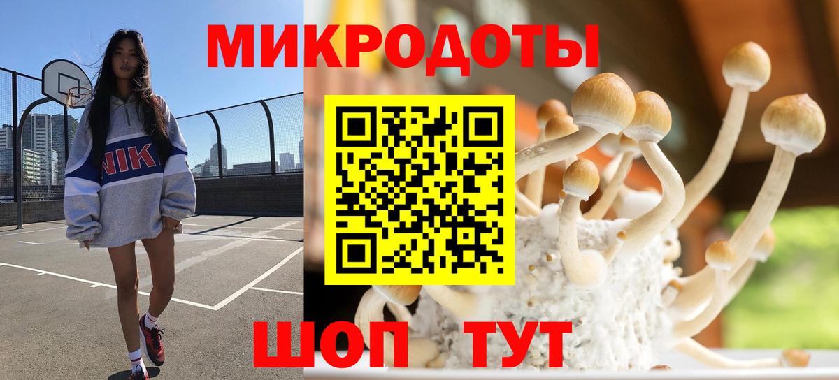 Светлоград  Галлюциногенные грибы Magic Shrooms  Вход с VPN  Галлюциногенные грибы Psilocybe 
